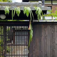 健やかな暮らしを祈り住まいを飾る